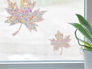Papel film de arcoíris para ventanas